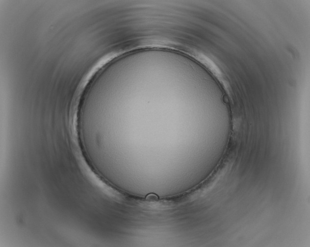 X0000113880947200910151310