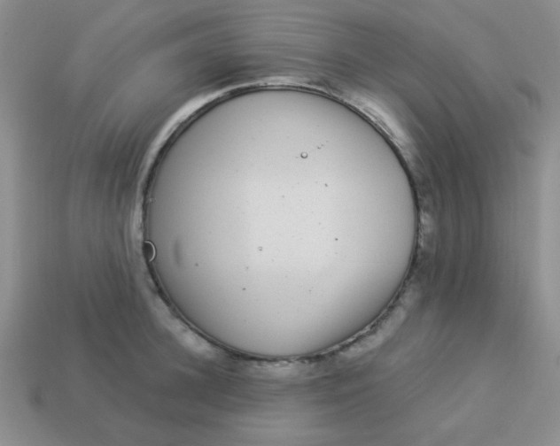 X0000113880948200910151310