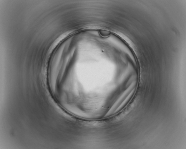 X0000113880949200910151310