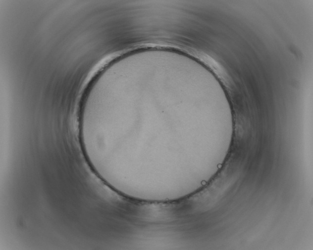 X0000113880950200910151310