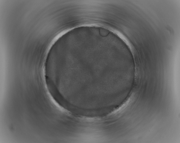 X0000113880951200910151310