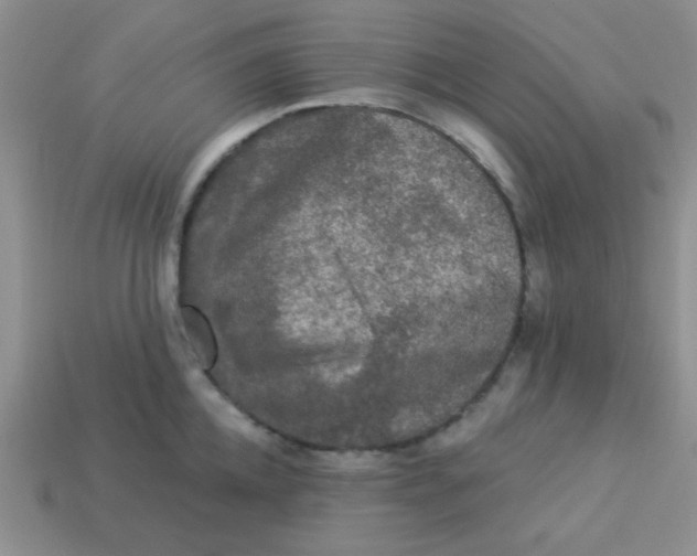 X0000113880952200910151310