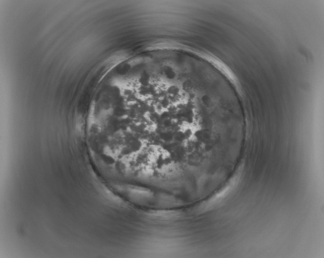 X0000113880953200910151310