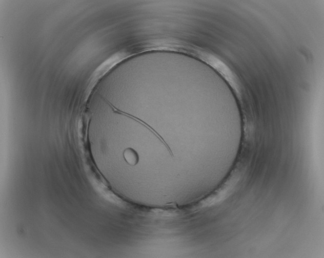 X0000113880954200910151310