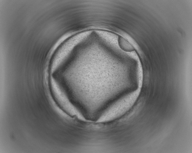 X0000113880955200910151310