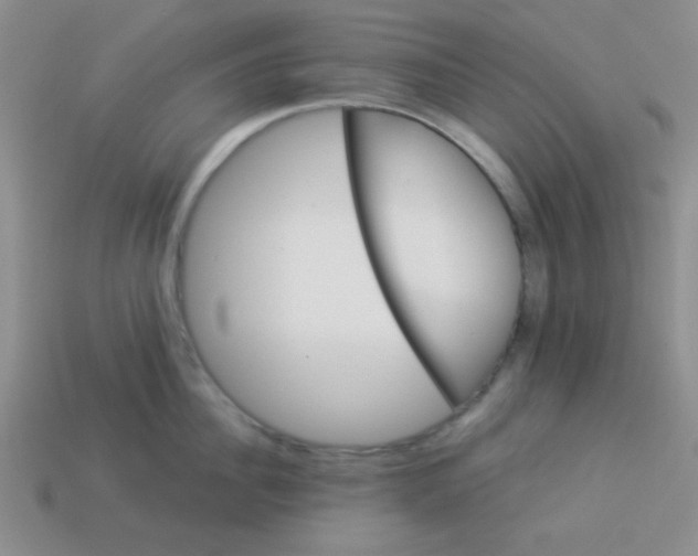 X0000113880956200910151310