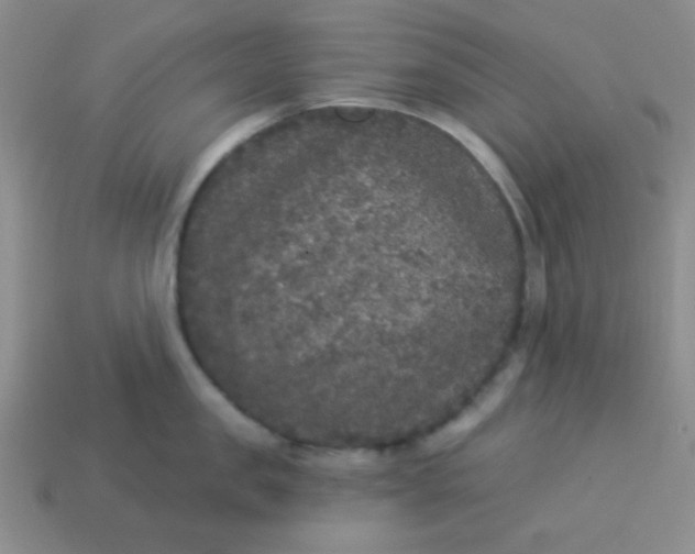 X0000113880957200910151310