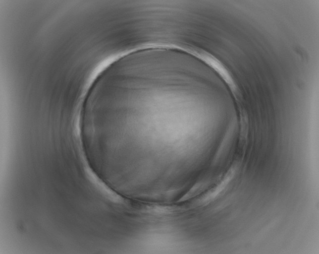 X0000113880958200910151310