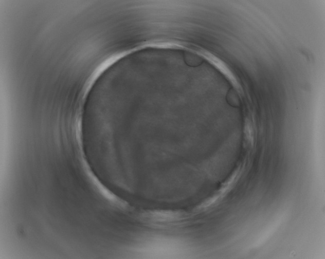 X0000113880959200910151310