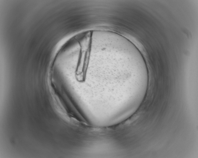 X0000113880960200910151310