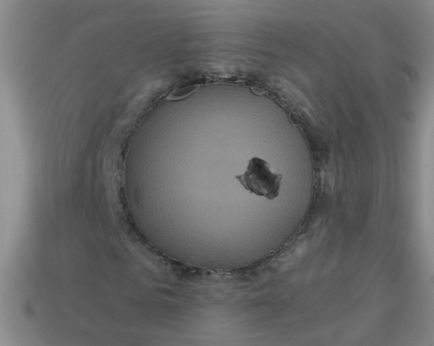 X0000113880961200910151310