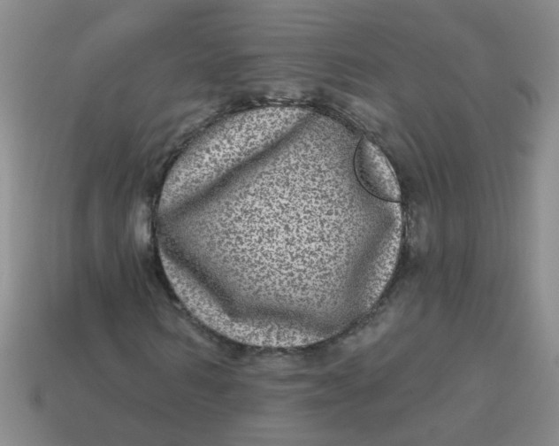 X0000113880962200910151310