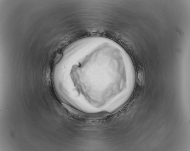 X0000113880963200910151310