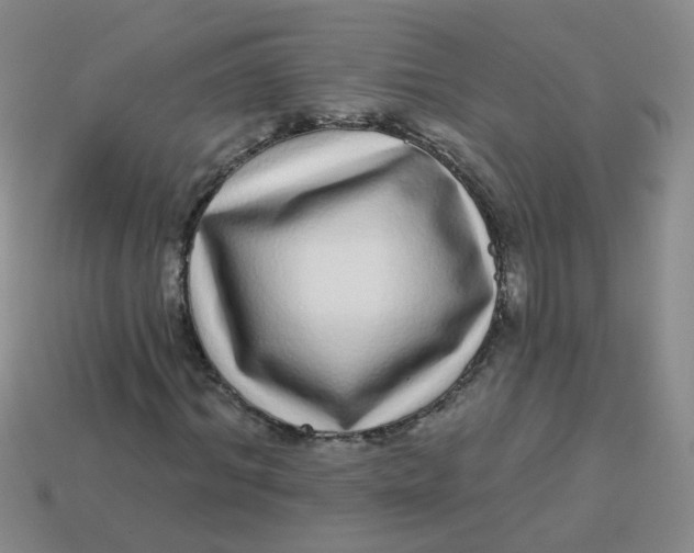 X0000113880964200910151310