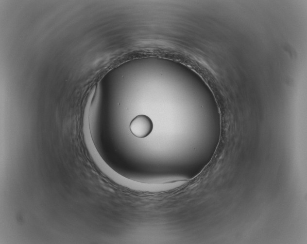 X0000113880965200910151310