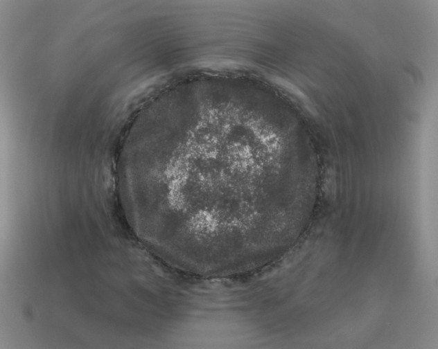 X0000113880966200910151310