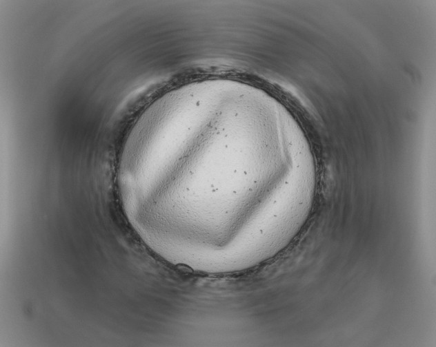 X0000113880967200910151310