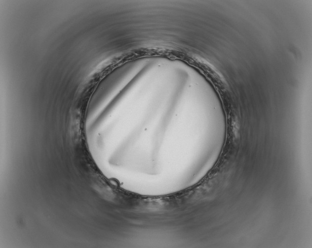 X0000113880968200910151310