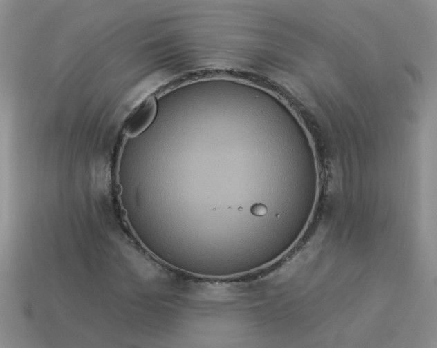 X0000113880969200910151310