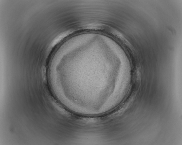 X0000113880970200910151310