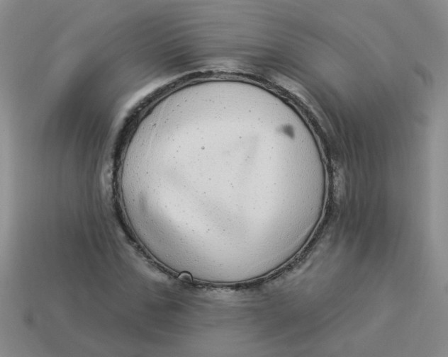 X0000113880971200910151310