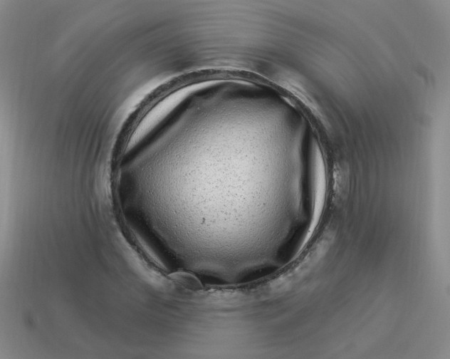 X0000113880972200910151310