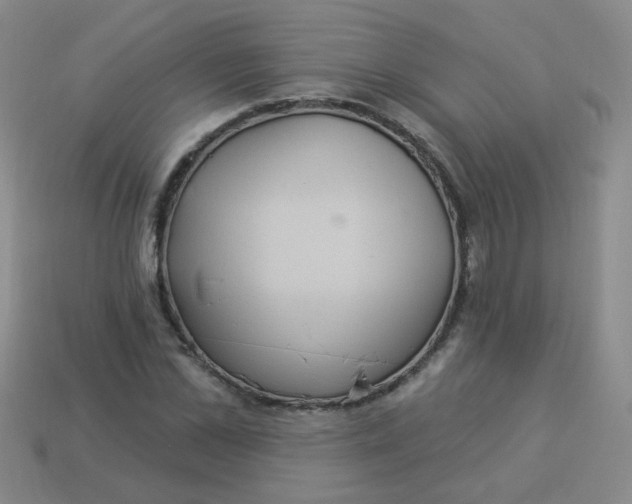 X0000113880973200910151310