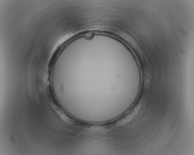 X0000113880974200910151310