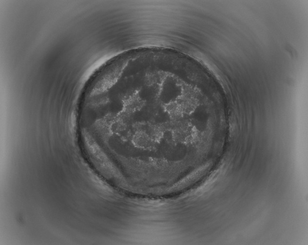 X0000113880975200910151310