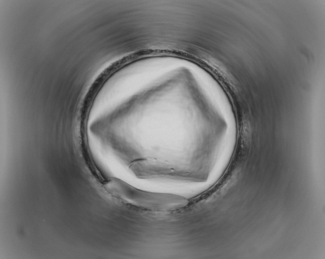 X0000113880976200910151310