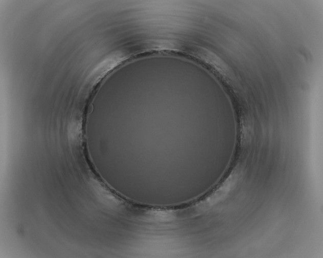 X0000113880977200910151309