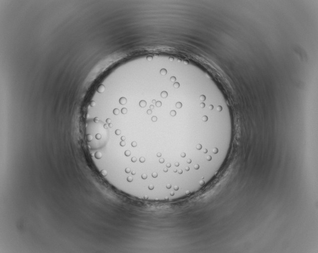 X0000113880978200910151309