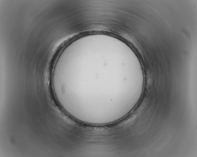 X0000113880979200910151309