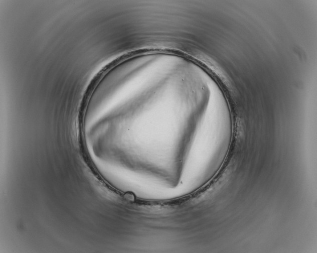 X0000113880980200910151309