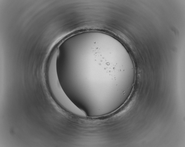 X0000113880981200910151309