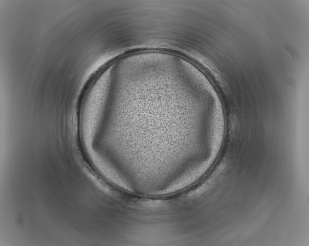 X0000113880982200910151309