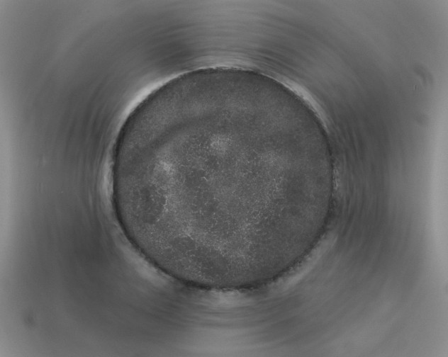 X0000113880983200910151309