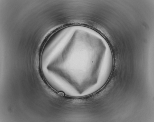 X0000113880984200910151309