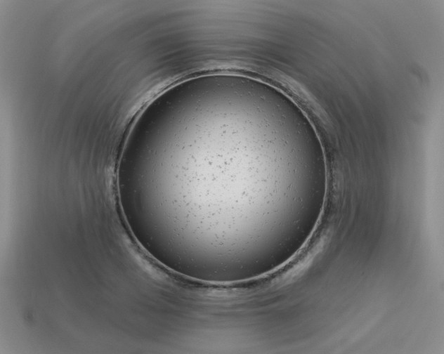 X0000113880985200910151309