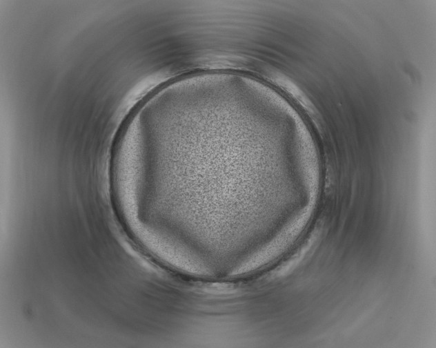 X0000113880986200910151309