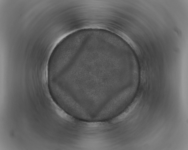 X0000113880988200910151309