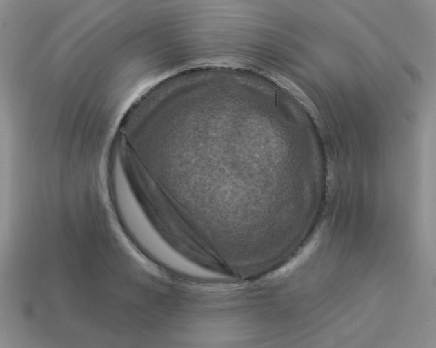 X0000113880989200910151309