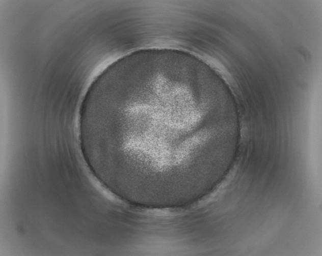 X0000113880990200910151309