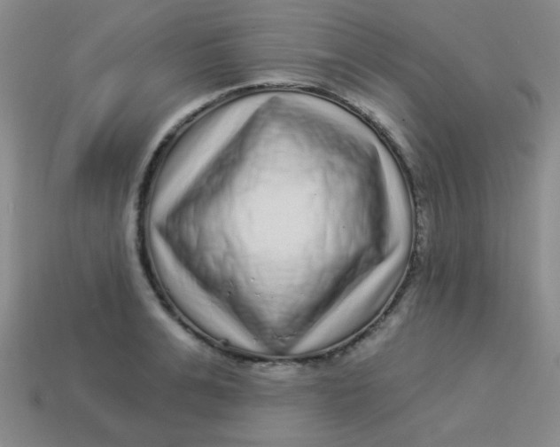 X0000113880991200910151309