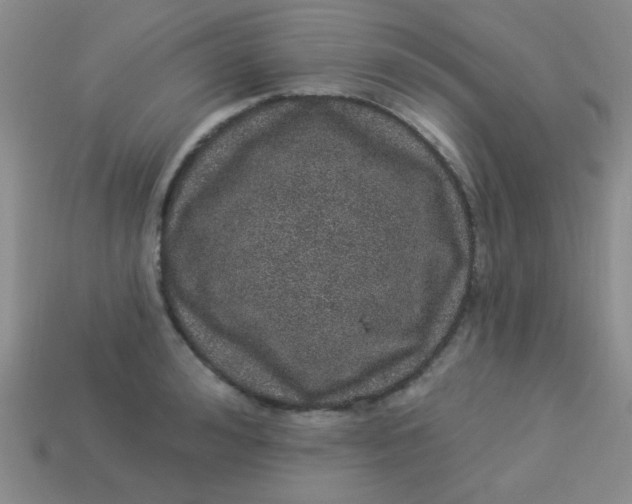 X0000113880992200910151309