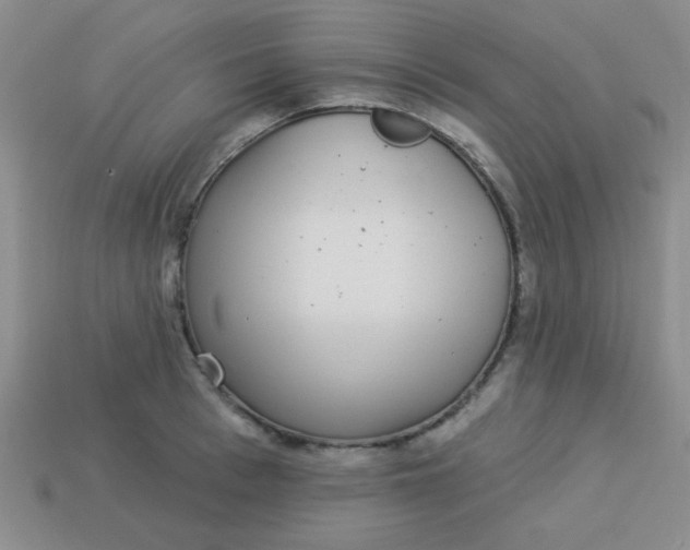 X0000113880993200910151309