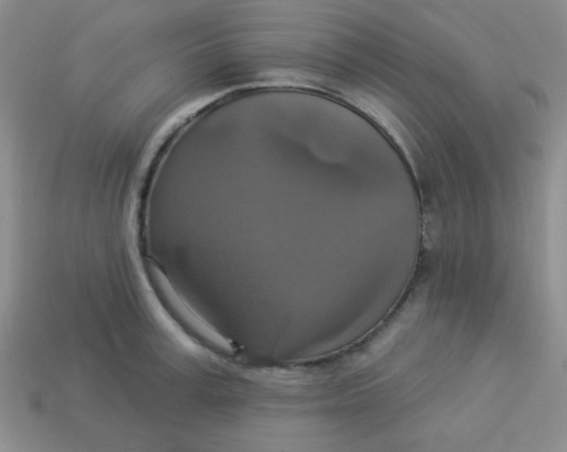 X0000113880995200910151309