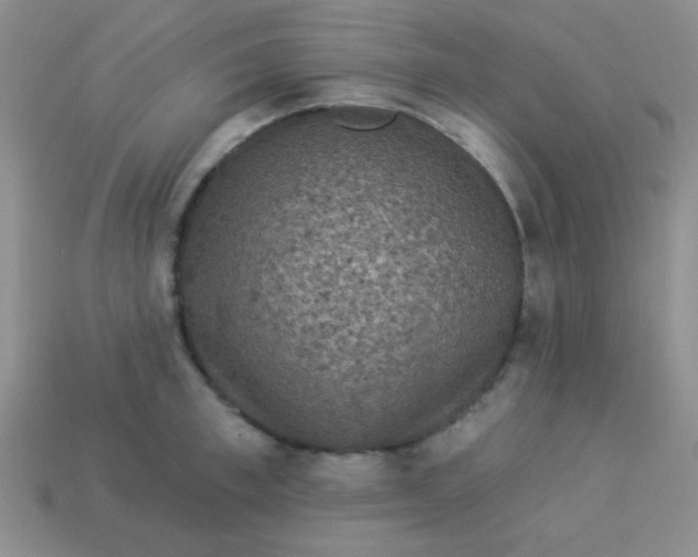 X0000113880997200910151309