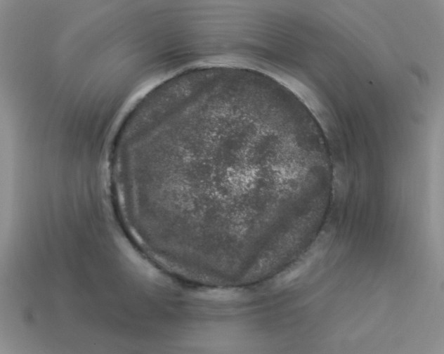 X0000113880998200910151309