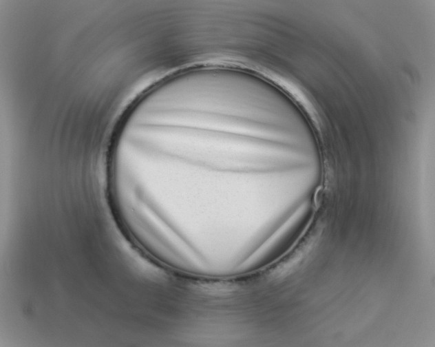 X0000113880999200910151309